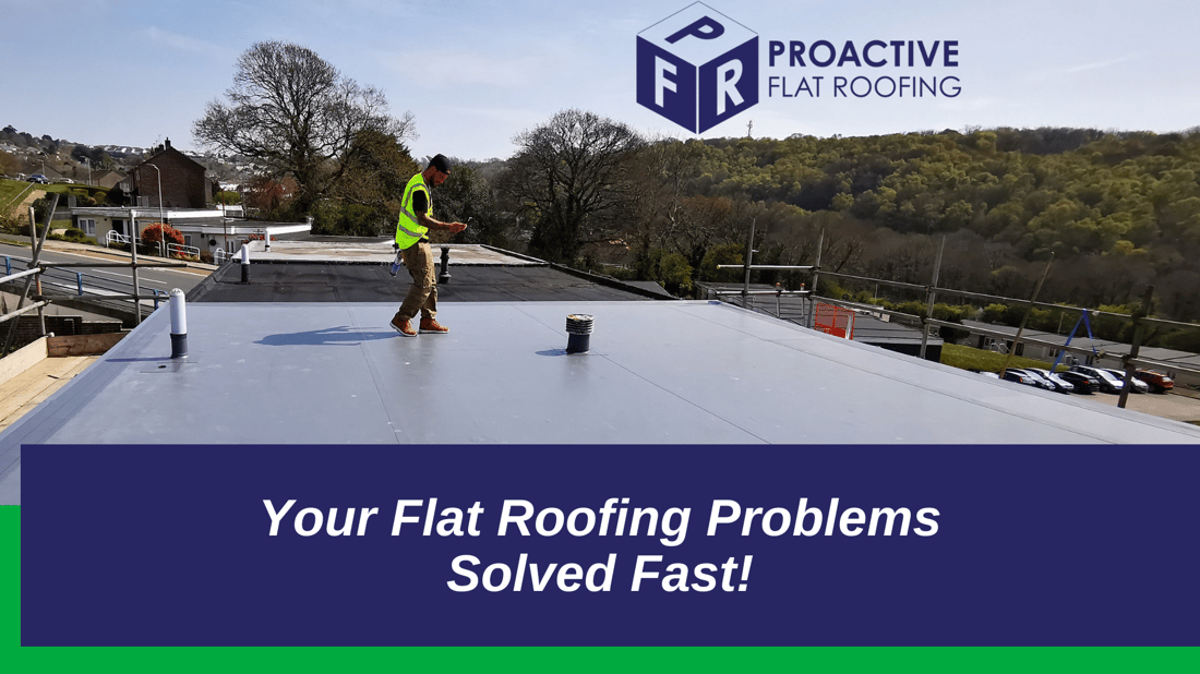 Main header - "Proactive Flat Roofing"