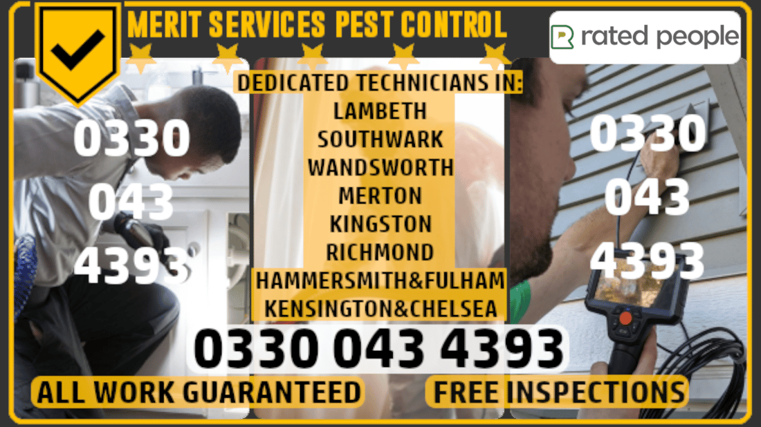 Main header - "Merit Services Pest Control"