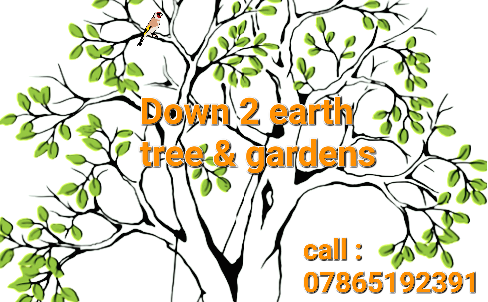 Main header - "Down 2 Earth Gardens Ltd"