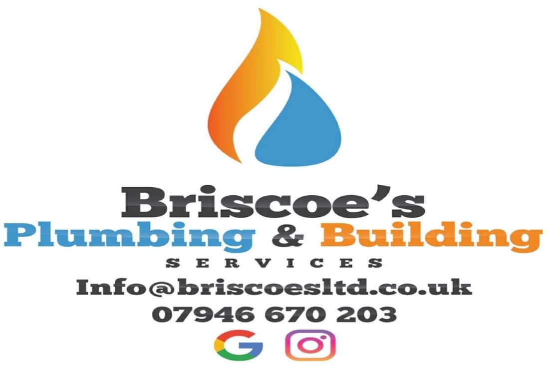 Main header - "Briscoe's Plumbing & Building Services"