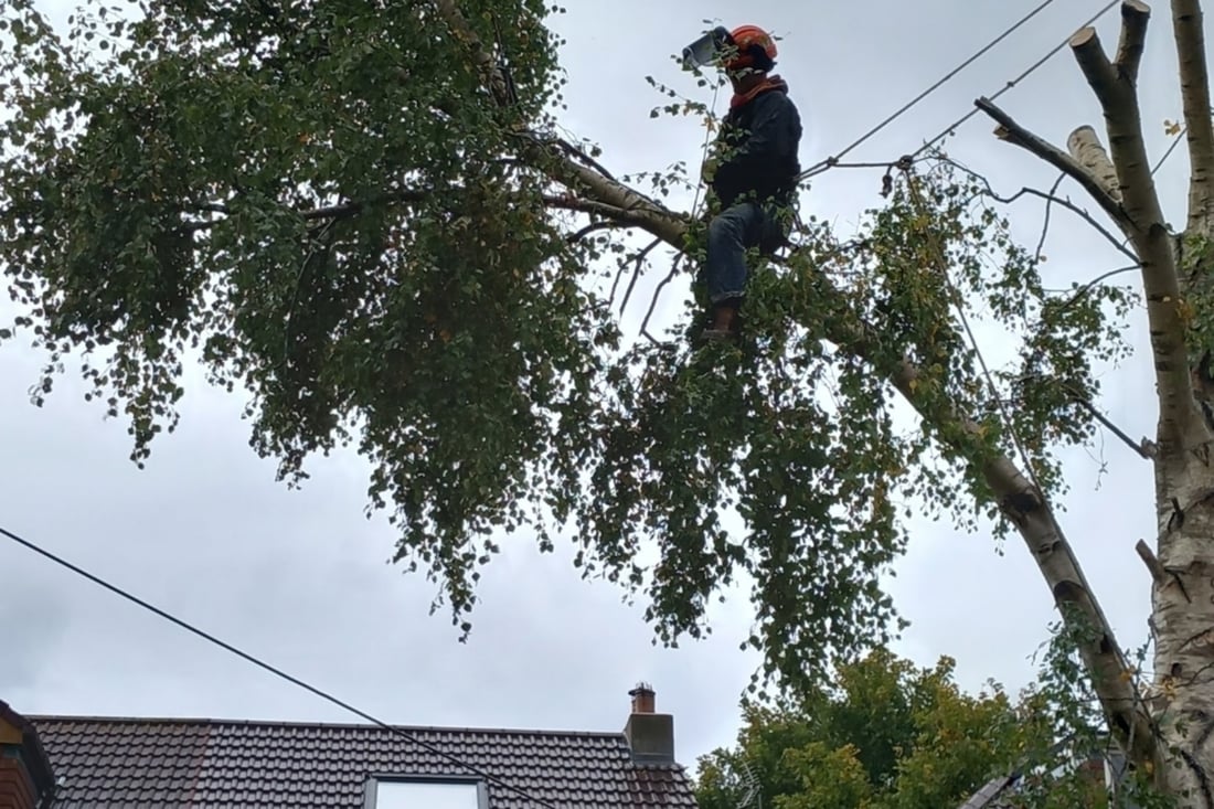 Main header - "Keynsham Trees & Maintenance"