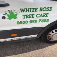 Main header - "White Rose Tree Care"