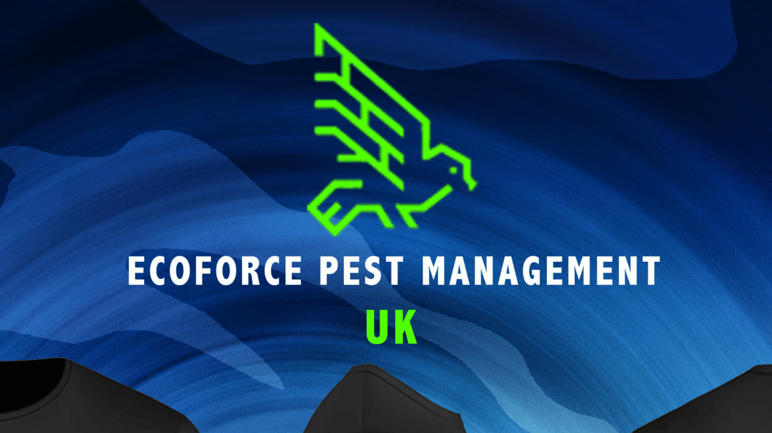 Main header - "Ecoforce Pest Management UK LTD"