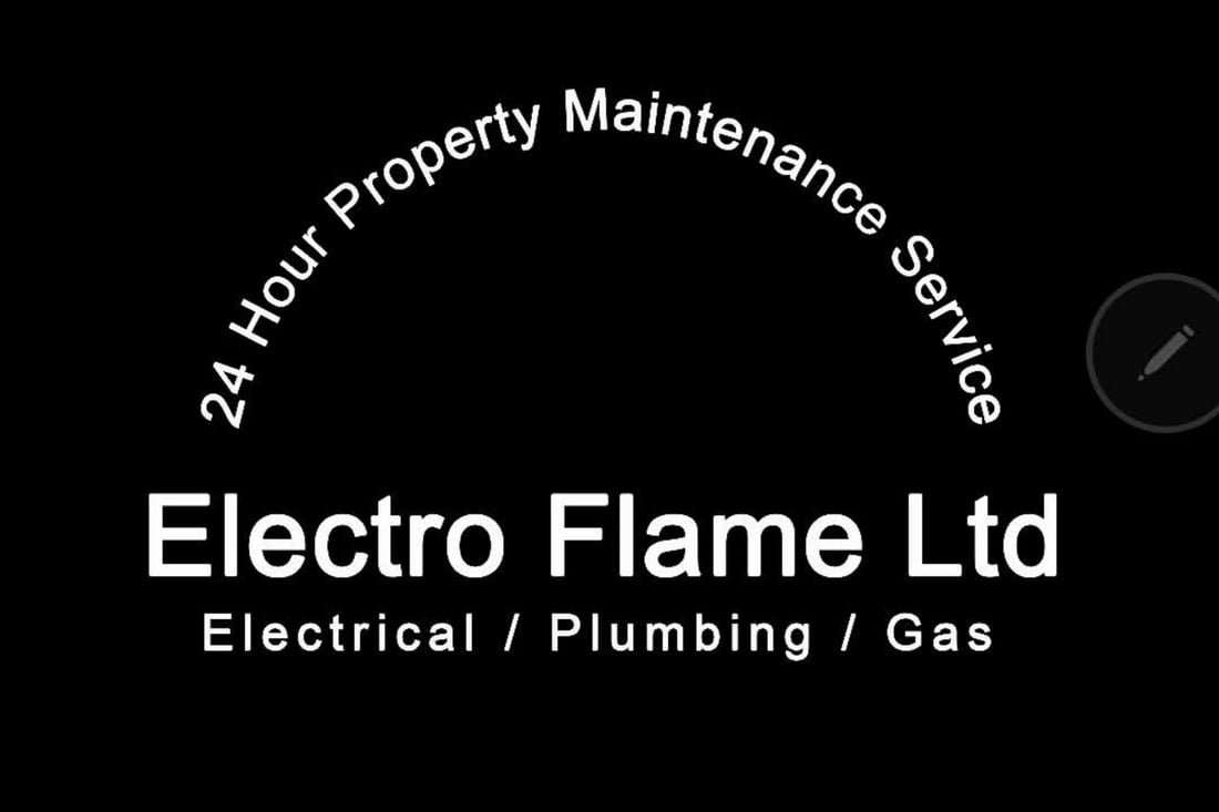 Main header - "Electro Flame LTD"