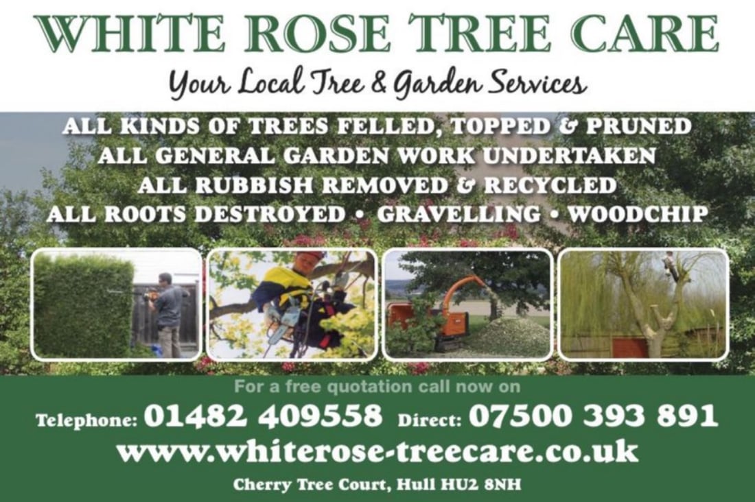 Main header - "White Rose Tree Care"