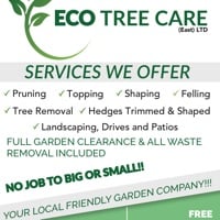 Main header - "ECO TREE CARE EAST LTD"