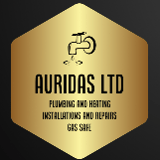 Company/TP logo - "AURIDAS LIMITED"