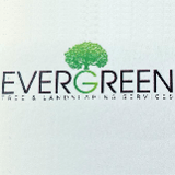 Company/TP logo - "Evergreen garden services"