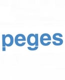 Company/TP logo - "Peges Construction & Engineering Ltd"