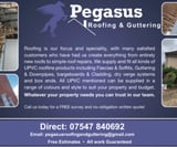 Company/TP logo - "Pegasus Roofing & Guttering"