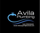 Company/TP logo - "Avila Plumbing"