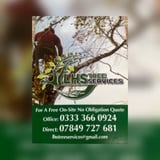 Company/TP logo - "LHS Tree Services & Landscaping"