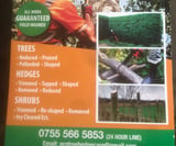 Company/TP logo - "Tree & Hedge Care"