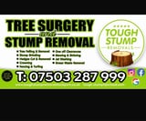 Company/TP logo - "Tough Stump Removal"