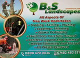 Company/TP logo - "B & S Landscapes"