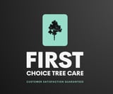 Company/TP logo - "FIRST CHOICE TREE CARE AND LANDSCAPING"