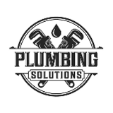 Company/TP logo - "Pro Plum Services"