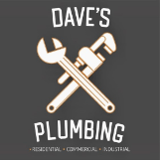 Company/TP logo - "David's Plumbing"