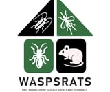 Company/TP logo - "WASPSRATS.COM LIMITED"