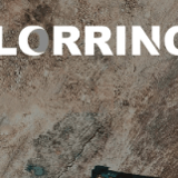 Company/TP logo - "Lorring Group Ltd"