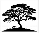 Company/TP logo - "Acacia Tree Care UK"