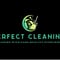 Company/TP logo - "The Perfect Cleaning"