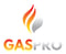 Company/TP logo - "GAS PRO"