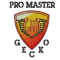 Company/TP logo - "Promaster Gecko Plastering"