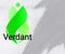 Company/TP logo - "Verdant Building Services Ltd"