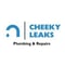 Company/TP logo - "Cheeky Leaks"