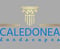 Company/TP logo - "Caledonea Landscapes"