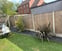 CFS Gardens avatar