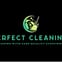 The Perfect Cleaning avatar