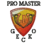 Promaster Gecko Plastering avatar