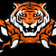 Tiger 65 avatar