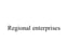 Regional Enterprises avatar