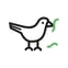 Bird & Worm LTD avatar