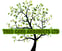 Tree Care Arborists LTD avatar