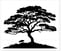 Acacia Tree Care UK avatar