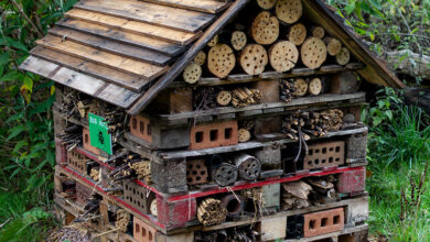Photo of a bug hotel