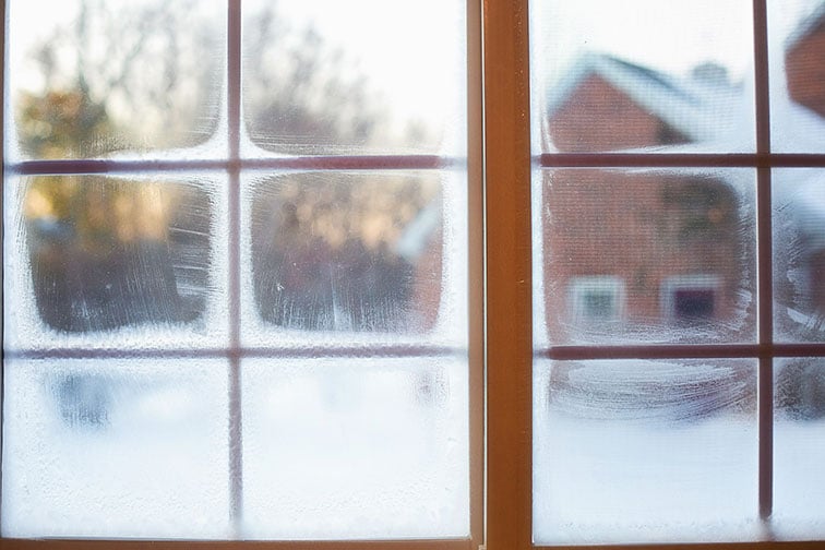 frosty windows