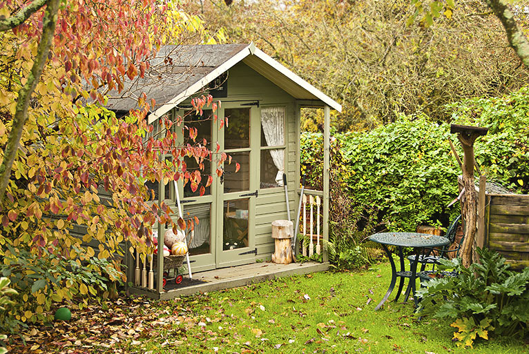 Shed in the autumn