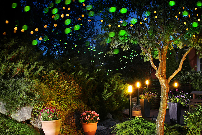 Garden full of colourful lights
