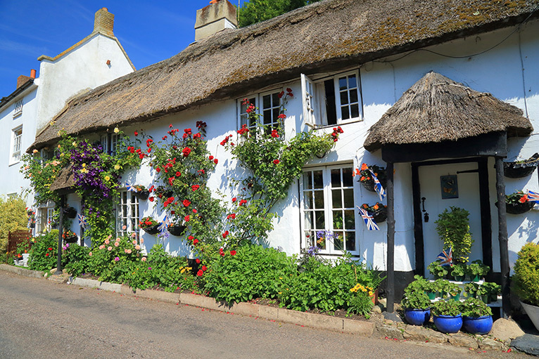 Thatched cottage with plants outside