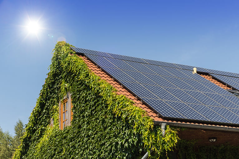 House with solar panels and living wall