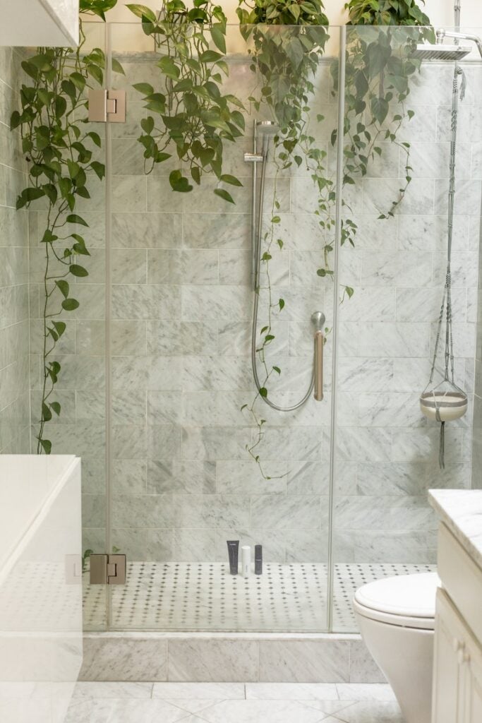 Budget bathroom improvements: Shower cubicle with hanging plants