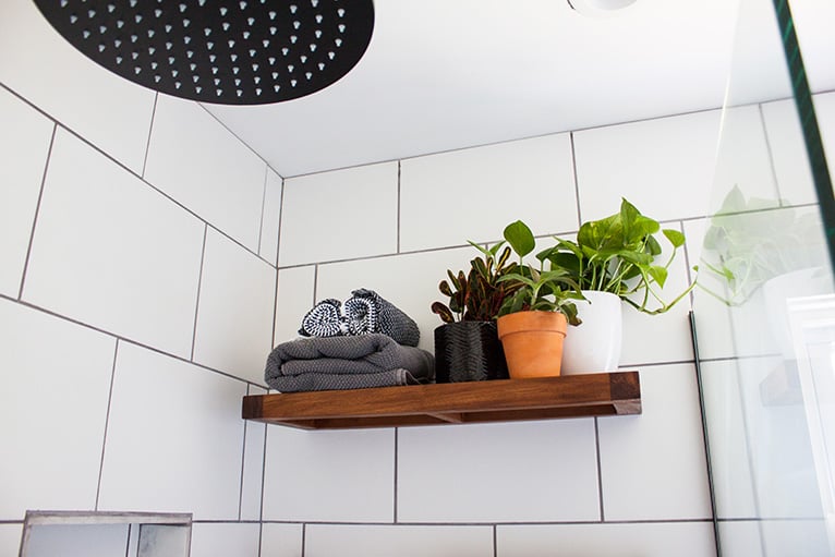 Shelf in shower holding towels and plants