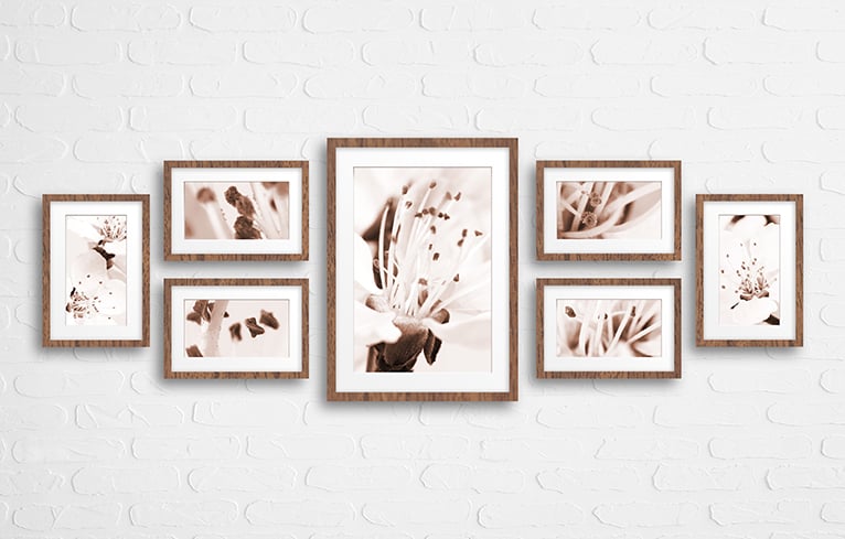 Collage of frames with brown floral wallpaper