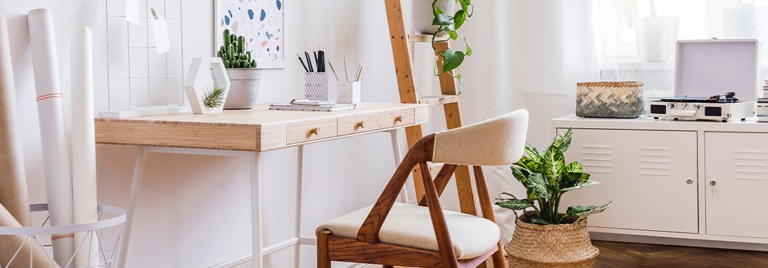 Bright home office with stylish desk and houseplants.