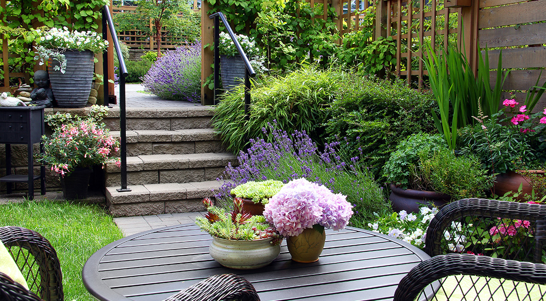 Beautiful garden with flowers and garden furniture.